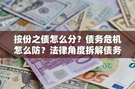 武汉按份之债怎么分？债务危机怎么防？法律角度拆解债务分配与风险自保指南