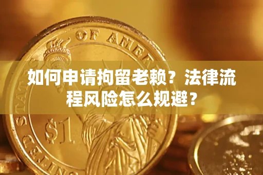 武汉如何申请拘留老赖？法律流程风险怎么规避？