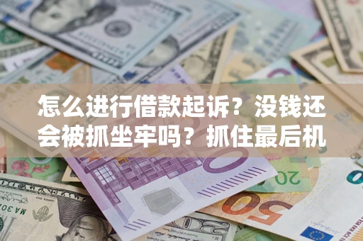 武汉怎么进行借款起诉？没钱还会被抓坐牢吗？抓住最后机会！