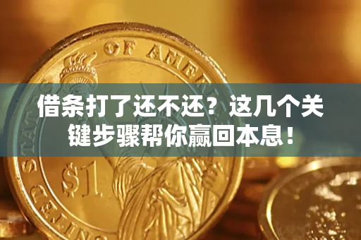 武汉借条打了还不还？这几个关键步骤帮你赢回本息！