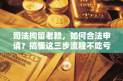 武汉司法拘留老赖，如何合法申请？搞懂这三步流程不吃亏！