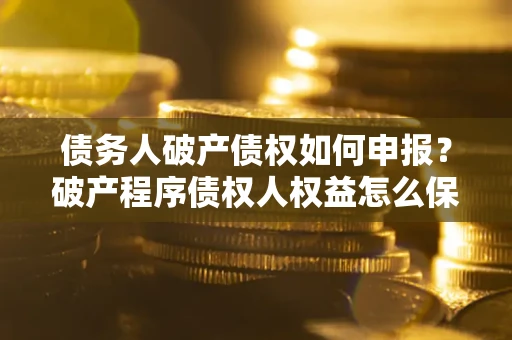 武汉债务人破产债权如何申报？破产程序债权人权益怎么保障？