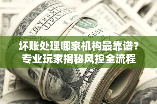 武汉坏账处理哪家机构最靠谱？专业玩家揭秘风控全流程