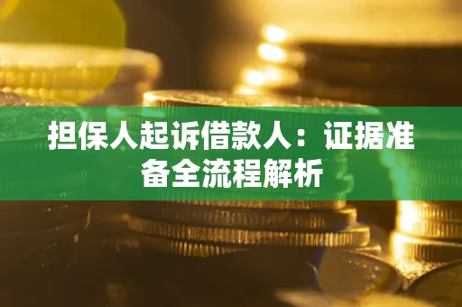 武汉担保人起诉借款人：证据准备全流程解析