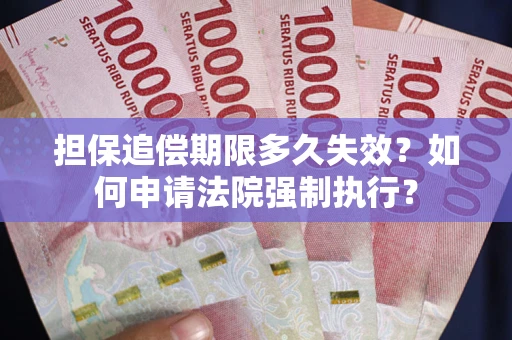 武汉担保追偿期限多久失效？如何申请法院强制执行？