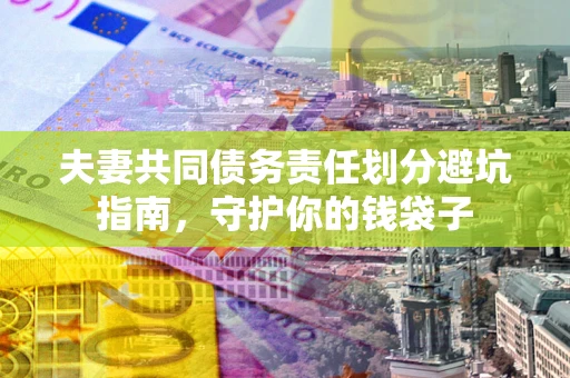 武汉夫妻共同债务责任划分避坑指南，守护你的钱袋子