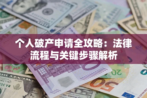 武汉个人破产申请全攻略：法律流程与关键步骤解析