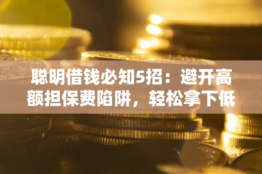 武汉聪明借钱必知5招：避开高额担保费陷阱，轻松拿下低息贷款