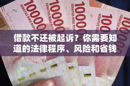 武汉借款不还被起诉？你需要知道的法律程序、风险和省钱技巧