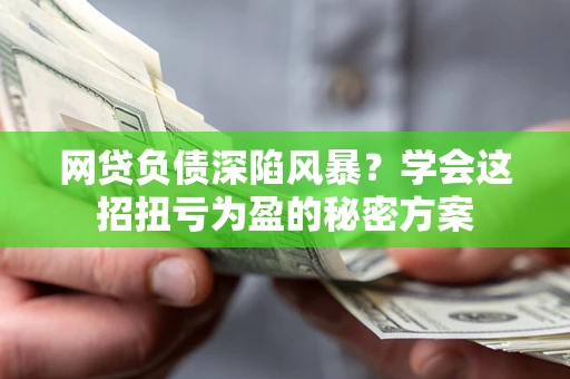 武汉网贷负债深陷风暴？学会这招扭亏为盈的秘密方案