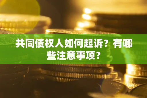 武汉共同债权人如何起诉？有哪些注意事项？